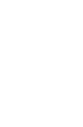 bulb image
